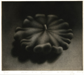 From the Garden,Holly Downing (1948)