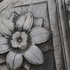 Rock_flower__rome__photograph_on_museum_quality_paper