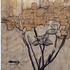 Urban_organic_pt_2