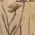 Urban_organic_pt_3