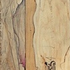 Urban_organic_pt_4_ethics