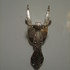 Enero_2010_125