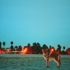 Bryan_ricci_dogtown