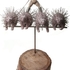 Porcupines