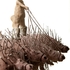 Porcupine_rider