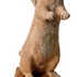 Prarie_dog