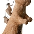 Prarie_dog_climbers
