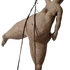 Camelrider