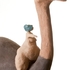 Ostrich_rider