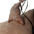 Walrus_rider