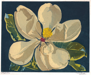 Magnolia,William S. Rice (1873 - 1963)