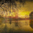 Dan_burkholder_-_tree_and_pond_in_fall