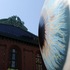 Iris_-_close_up
