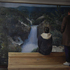 Untitled_287x198cm_oil_on_canvas_2010