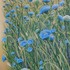 New_work_005