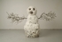 Kaviguptagallery000033
