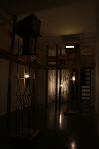Coming_out_of_the_woodwork2