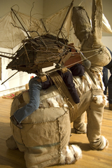 Untitled,Pete Hickok