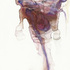 01maddess_there_are_treasures_here