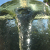Scylla_3512_sm_invite_crop