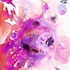 05maddess_nucleotide