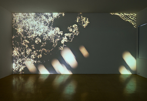One_room_one_work_14