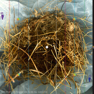 20100809062928-new_nest3sm