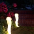 20100809092014-baby_steps_1