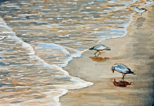 20100809103749-seabirdsgallery
