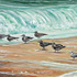 20100809104912-sandbarfineart