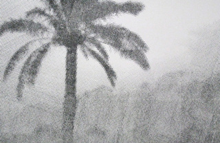 Caravan,Chris Oatey