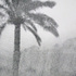 20100809184629-caravan_40x28