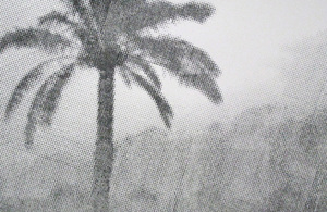 20100809184629-caravan_40x28