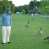 20100809190335-michael-ducks
