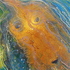 20100810064950-dscf1259