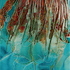 20100810065340-goddess_of_the_frozen_reeds_2
