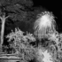 20100810112439-cp_iftomorrow