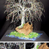20100811071959-bonsai_island_composit