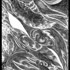 Mesa