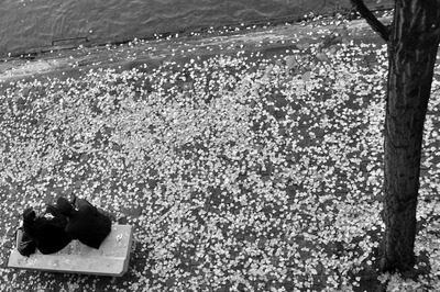 20110515112309-dsc_0200