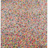 20100811141414-schoultz_compoundeyes