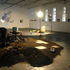 20100811142926-leo_cohen_--_system_1
