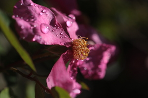 20100811173331-img_9696
