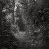20100812002258-fort_stevens_state_park__oregon__usa