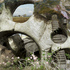 20100814054720-bright_spot__2009