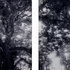 20100812065619-001--12aug