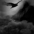 20101115172643-shadowland_soft8