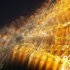 20100813031119-painting_music_with_light