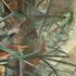 As_cropped20100821174059-the_seasons_began_to_smudge_away_the_viciousness__detail-1_of_3_