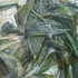 20100821175044-2-treacy_jamie_in_each_leaf_were_glimmering_rivers_35_3-4_22x51_3-4_22_acrylic_on_paper